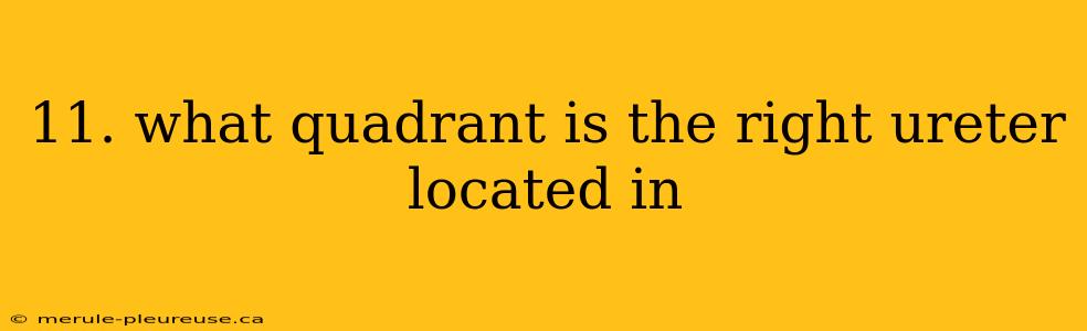 11. what quadrant is the right ureter located in