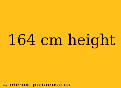 164 cm height