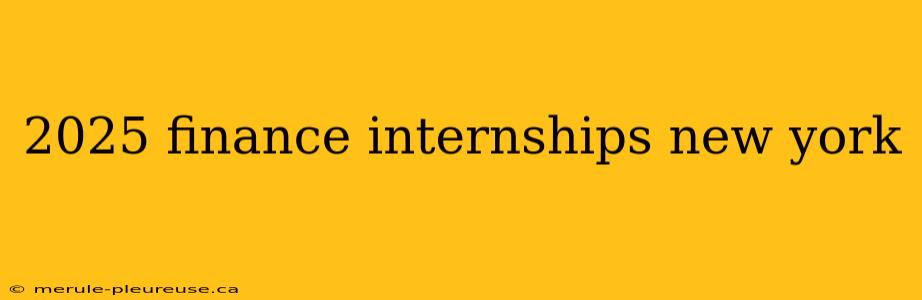 2025 finance internships new york