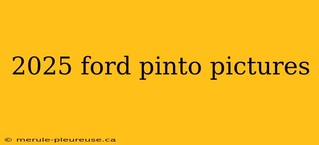 2025 ford pinto pictures