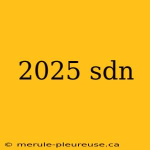 2025 sdn