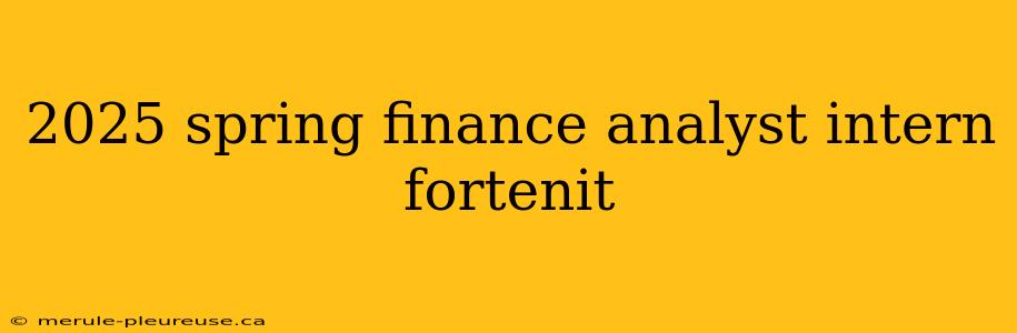 2025 spring finance analyst intern fortenit