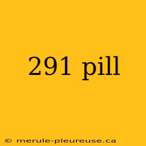 291 pill