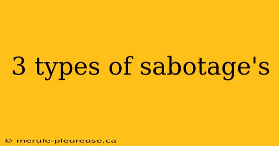 3 types of sabotage's