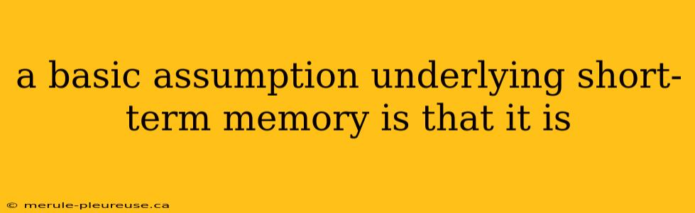 a basic assumption underlying short-term memory is that it is