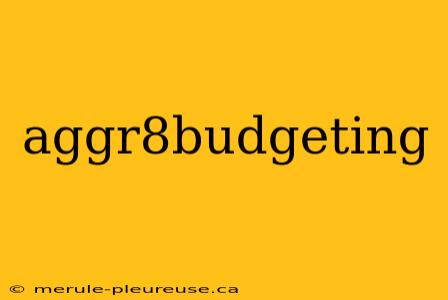 aggr8budgeting