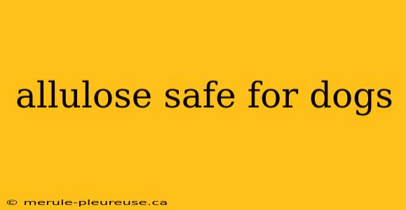 allulose safe for dogs