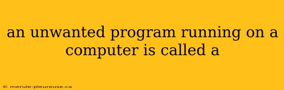 an unwanted program running on a computer is called a