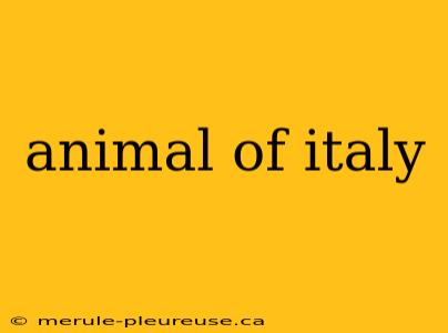 animal of italy