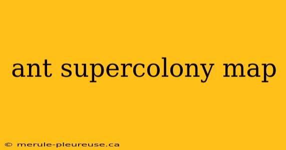 ant supercolony map