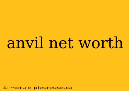 anvil net worth