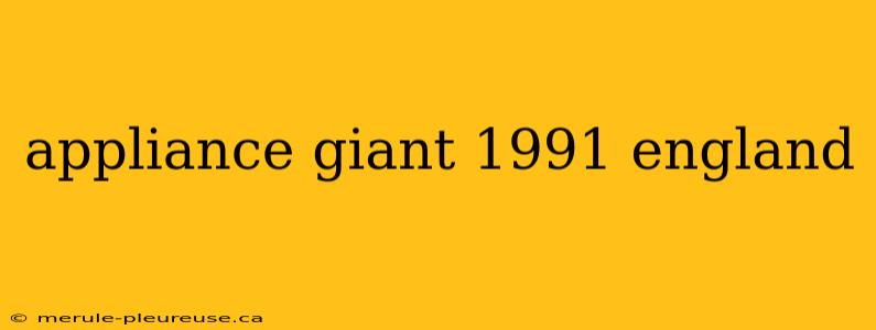 appliance giant 1991 england