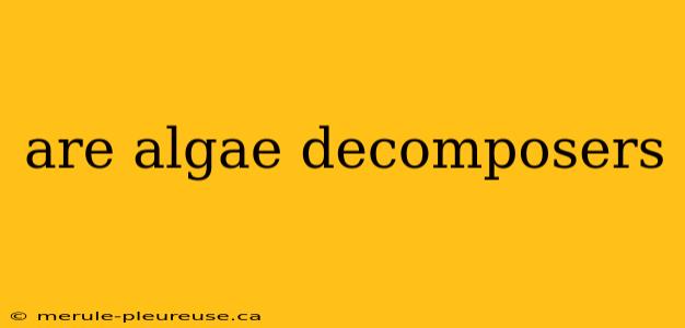 are algae decomposers