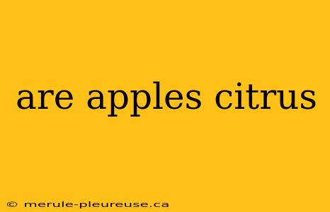 are apples citrus