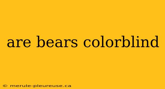 are bears colorblind