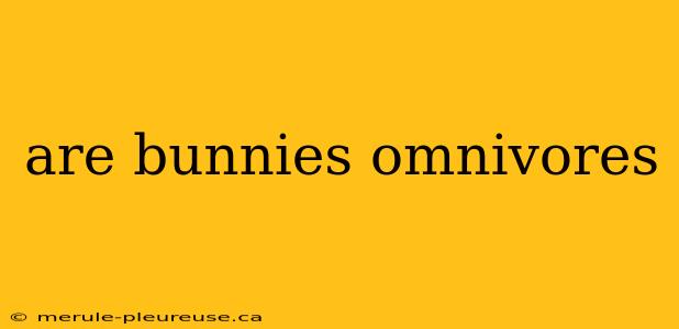 are bunnies omnivores