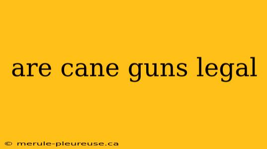 are cane guns legal