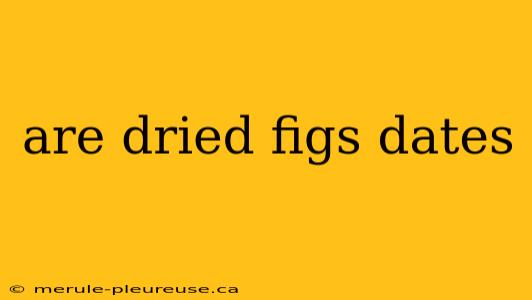 are dried figs dates