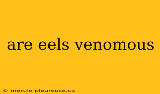 are eels venomous