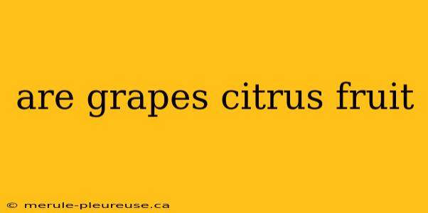 are grapes citrus fruit