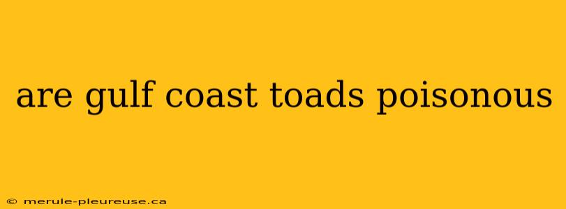 are gulf coast toads poisonous