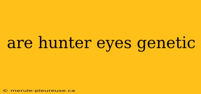 are hunter eyes genetic