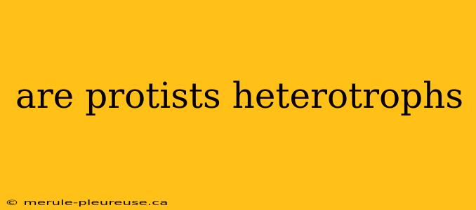 are protists heterotrophs