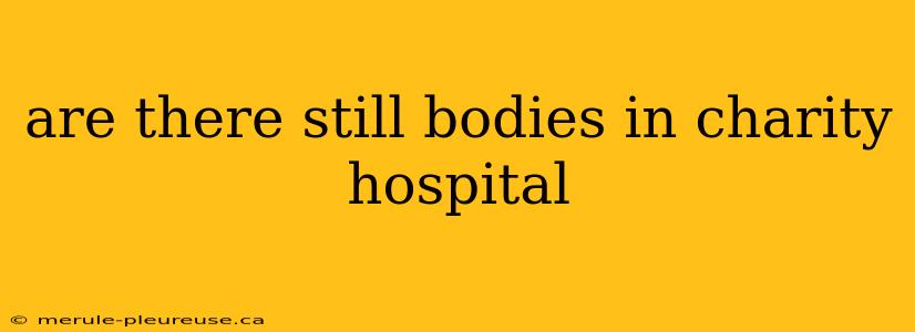 are there still bodies in charity hospital