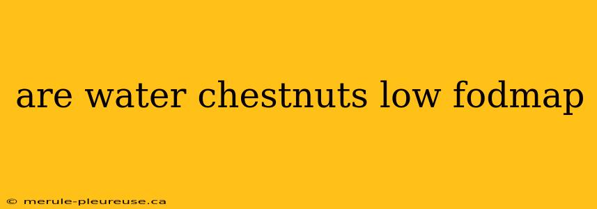 are water chestnuts low fodmap