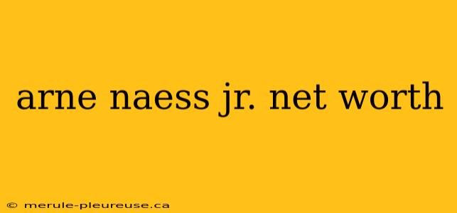 arne naess jr. net worth