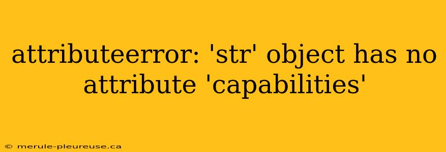 attributeerror: 'str' object has no attribute 'capabilities'