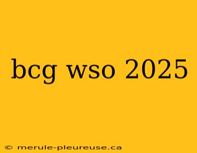 bcg wso 2025