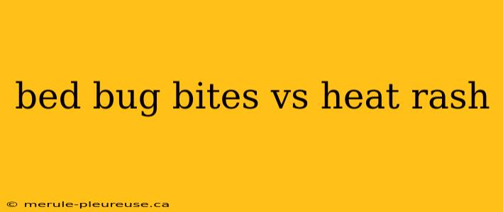 bed bug bites vs heat rash