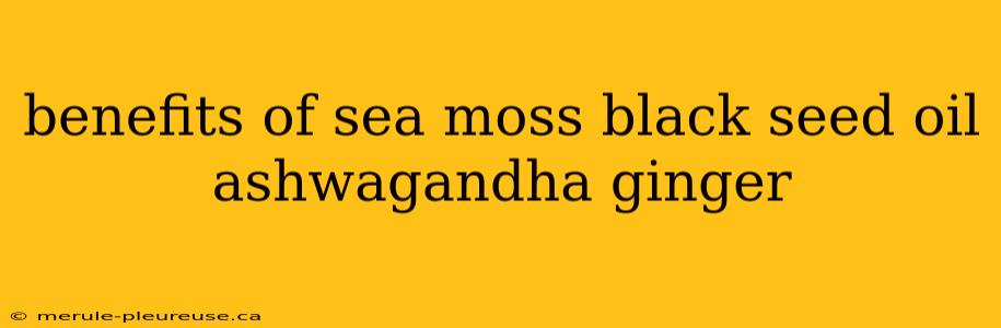 benefits of sea moss black seed oil ashwagandha ginger