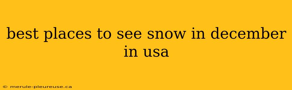 best places to see snow in december in usa