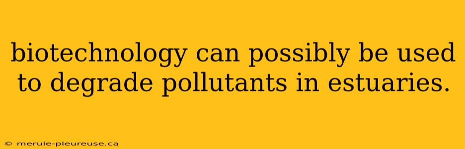 biotechnology can possibly be used to degrade pollutants in estuaries.