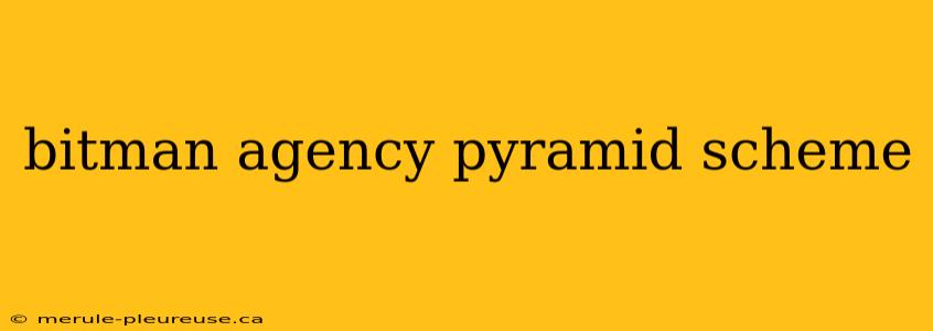 bitman agency pyramid scheme