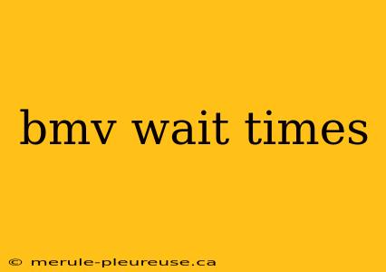 bmv wait times