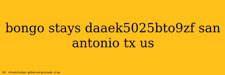 bongo stays daaek5025bto9zf san antonio tx us