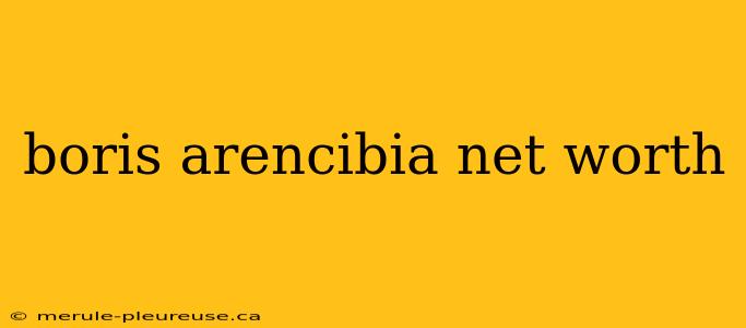 boris arencibia net worth