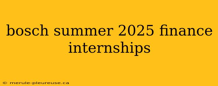 bosch summer 2025 finance internships