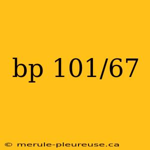 bp 101/67