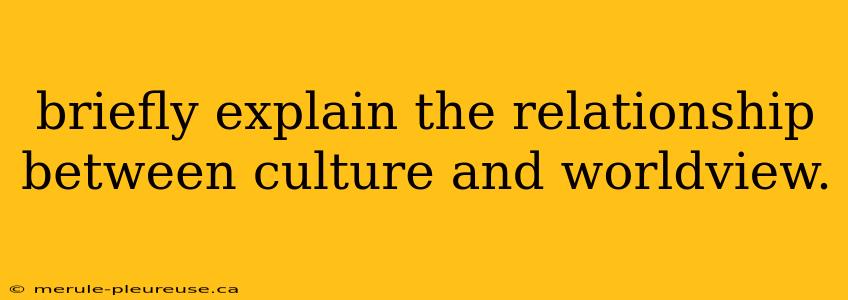 briefly explain the relationship between culture and worldview.