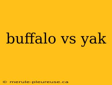 buffalo vs yak