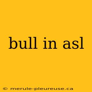 bull in asl