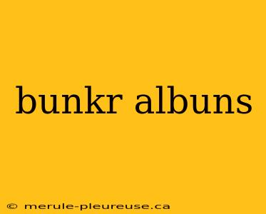 bunkr albuns