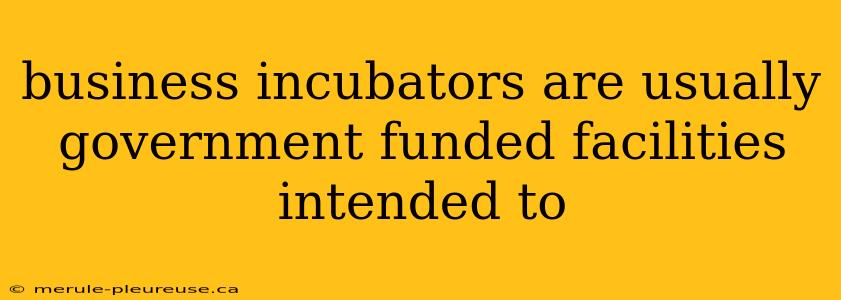 business incubators are usually government funded facilities intended to