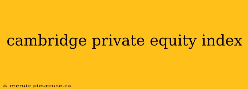 cambridge private equity index