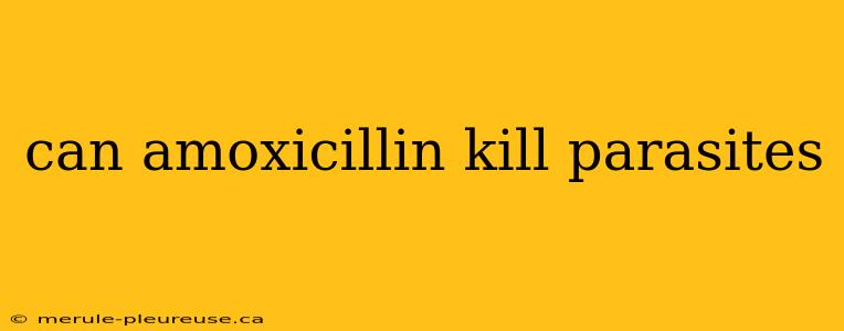 can amoxicillin kill parasites