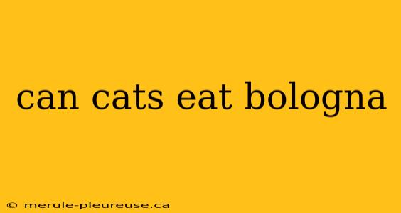 can cats eat bologna